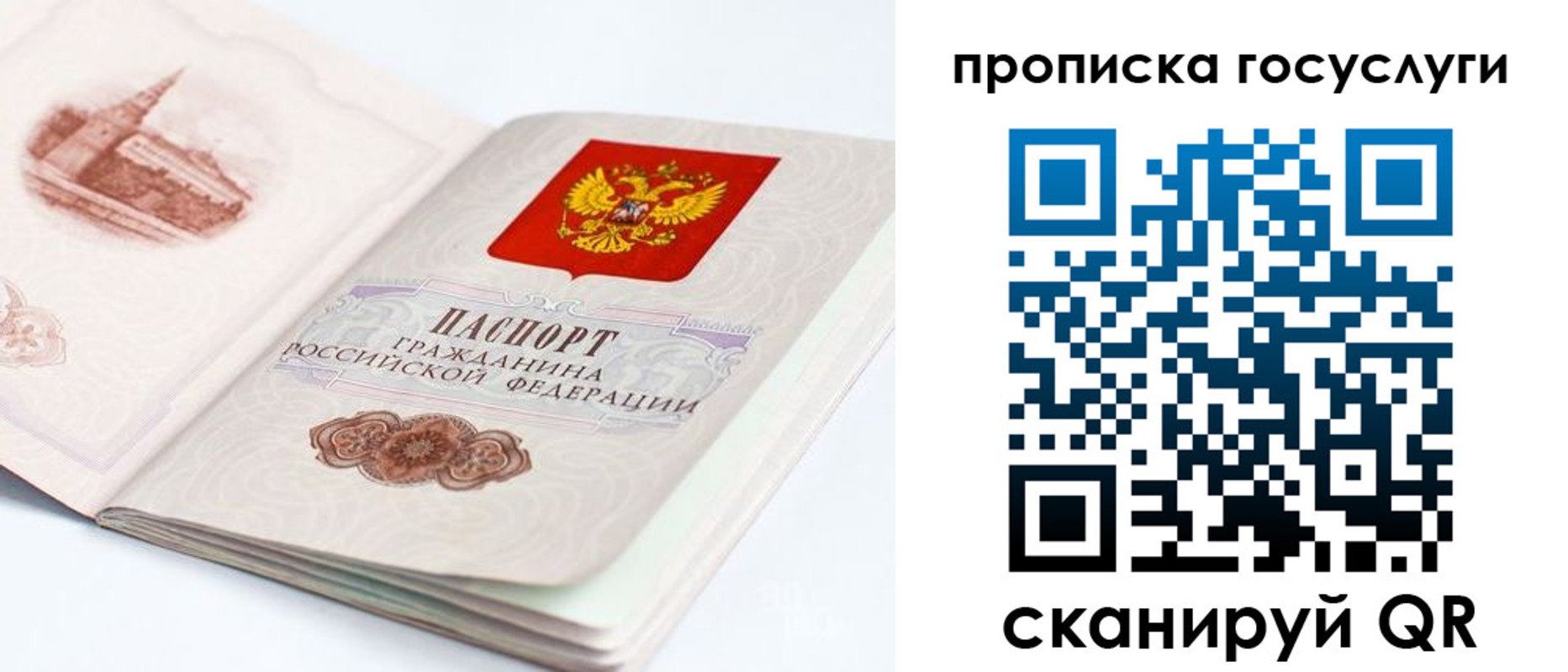 временная регистрация в Камчатской области